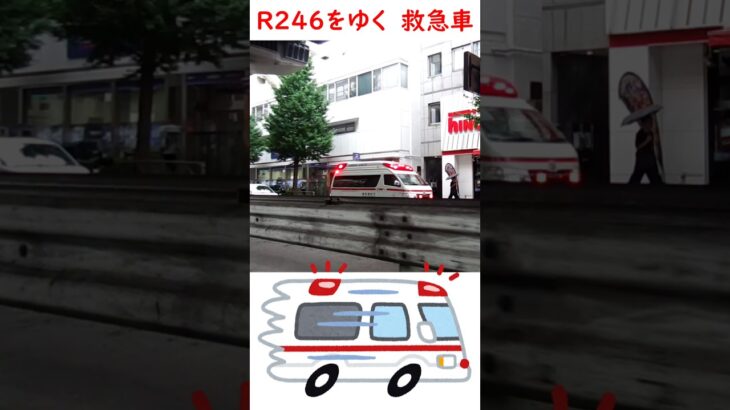 国道246号駒沢付近を走る救急車！