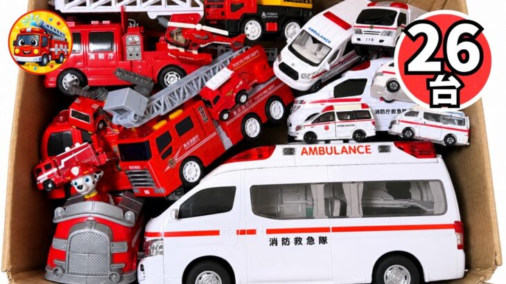 🚑🚒救急車・消防車のミニカーは箱に何台入るかな？26台をいっしょに数えよう！サイレン鳴らして緊急出動＆坂道走行テスト【子供向け】秋のおうち遊び
