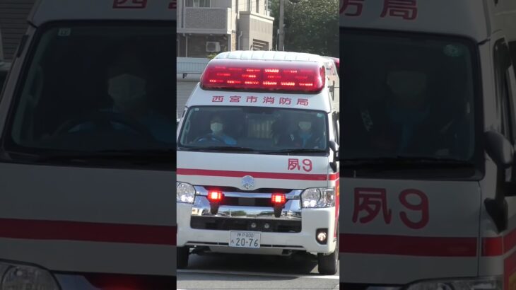 【緊急走行】北夙川9、緊急走行！【西宮市消防局】#shorts  #ショート #消防署 #消防車 #fire #firefighter #サイレン#救急車 #救急 #はしご車