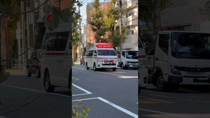 【東京消防庁】根津A緊急走行 #緊急車両 #救急車 #はたらくくるま #はたらくのりもの #東京消防庁 #automobile #ambulance #emergency #かっこいい #最新型