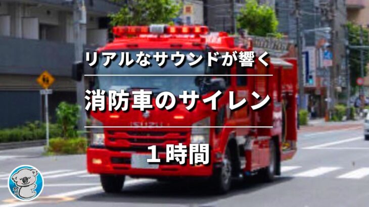 【ASMR】消防車のサイレンの音(1時間耐久) | 緊急走行中の消防車両のサイレン(カンカン音あり)