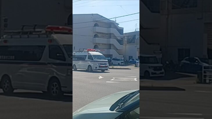 【緊急走行】転院搬送!鹿児島市立病院DMATドクターカー