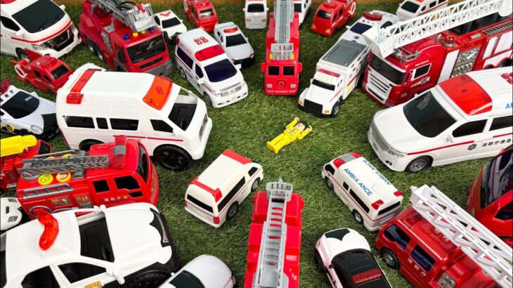 たくさんの救急車が出動！消防車・パトカーも緊急出動！サメと恐竜も登場 Many Ambulances Are Dispatched! Fire Trucks & Police Cars!