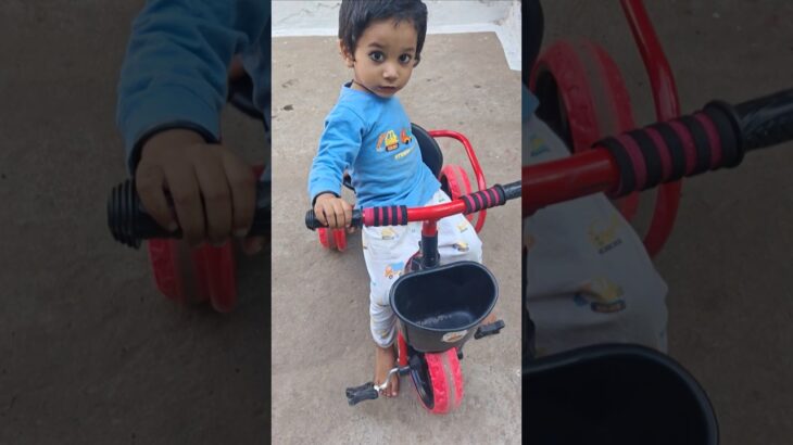 救急車（ミニカー）たちが坂道走る。緊急走行テスト。サイレン鳴る トミカMiniature ambulances drive up a hill. Emergency driving test.