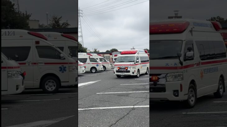 関越道 合同訓練🚒🚑 #関越自動車道 #合同訓練 #緊急車両 #消防車 #救助訓練 #多重事故 #防災訓練 #消防 #救急車 #レスキュー #Shorts #パトカー #救助工作車 #緊急走行