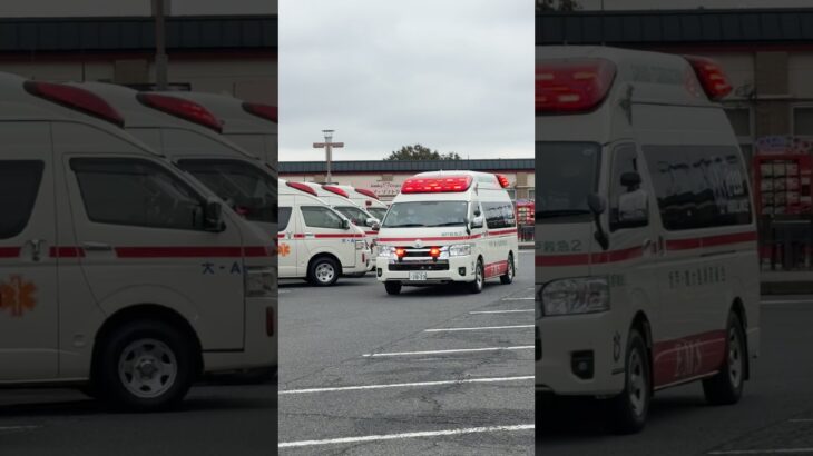 関越道 合同訓練🚒 #関越自動車道 #合同訓練 #緊急車両 #消防車 #救助訓練 #多重事故 #防災訓練 #消防 #救急車 #レスキュー #Shorts #パトカー #救助工作車 #緊急走行