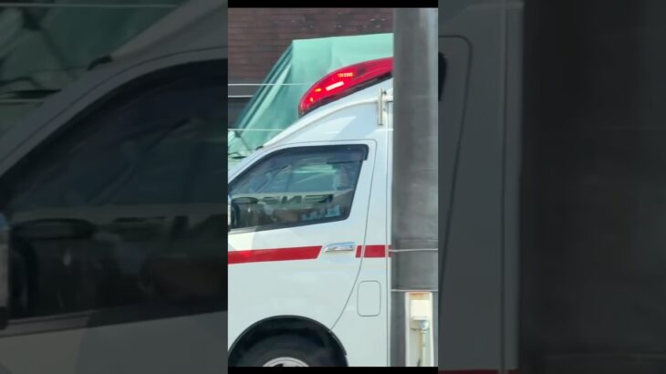 TCDサイレンを鳴らし緊急走行するアクティビーコン搭載ハイメディック救急車【苅田救急隊・藤沢市消防局】