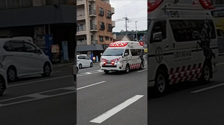 【緊急走行】TCD搭載救急車!日置市消防本部日消救急1