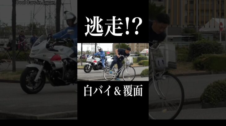 【逃走⁉️】白バイ＆覆面が自転車を追跡して逮捕‼️　#shorts　(寸劇)