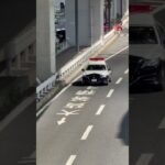 🚨パトカー🚨兵庫県警🚨パトロール🚨クラウンパトカー🚨 #パトカー #兵庫県警 #走行動画 #shorts #shortvideo #short