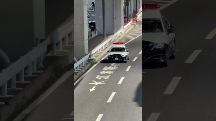 🚨パトカー🚨兵庫県警🚨パトロール🚨クラウンパトカー🚨 #パトカー #兵庫県警 #走行動画 #shorts #shortvideo #short