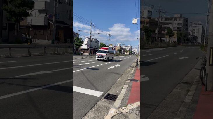 🚨救急車🚨緊急走行🚨響き渡るサイレン🚨 #救急車 #緊急走行 #伊丹市消防局 #shorts #shortvideo #short #shortsfeed