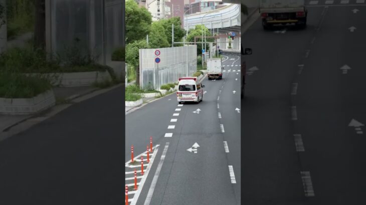 🚨救急車🚨緊急走行🚨西宮市消防局🚨 #救急車 #緊急走行 #shorts #shortvideo #short #shortsfeed