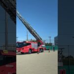😳😳たかーい😳😳はしご車😳😳 #消防車 #はしご車 #shorts #shortvideo #short #shortsfeed