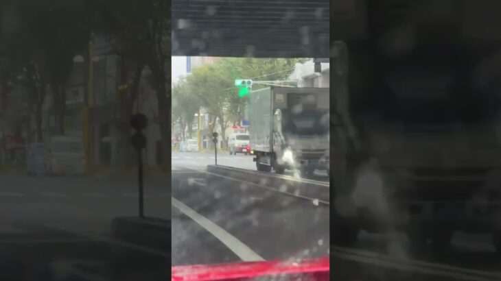 🚨警察車両🚨兵庫県警🚨赤色灯🚨 #パトカー #兵庫県警 #警察車両 #shorts #shortvideo #short #shortsfeed