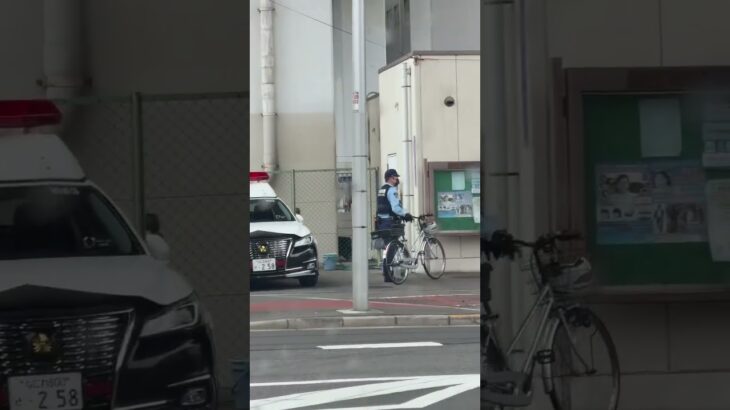🫡🫡自転車の警察官が格好いい🫡🫡 #警察官 #大阪府警 #自転車 #警察 #shorts #shortvideo #short #shortsfeed