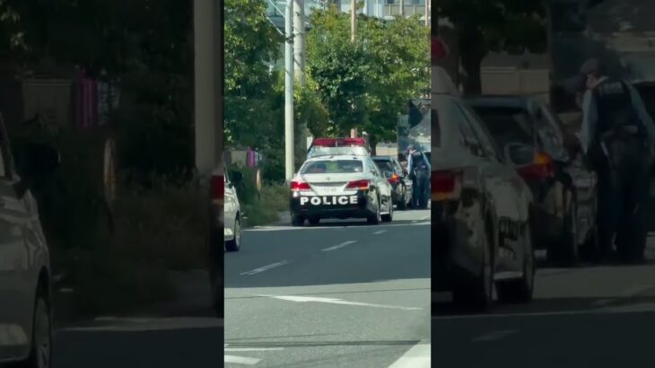 🚨違反車を捕まえたパトカー🚨大阪府警🚨 #パトカー #大阪府警 #警察官 #shorts #shortvideo #short #shortsfeed