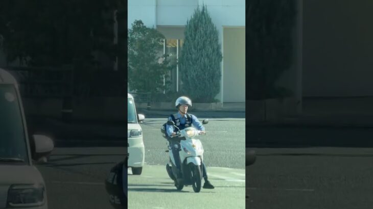 🚨警察車両と警察バイク🚨兵庫県警🚨 #パトカー #警察車両 #警察バイク #shorts #shortvideo #short #shortsfeed