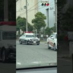 🚨パトカー🚨兵庫県警🚨パトロール🚨クラウンパトカー🚨 #パトカー #兵庫県警 #走行動画 #shorts #shortvideo #short #shortsfeed