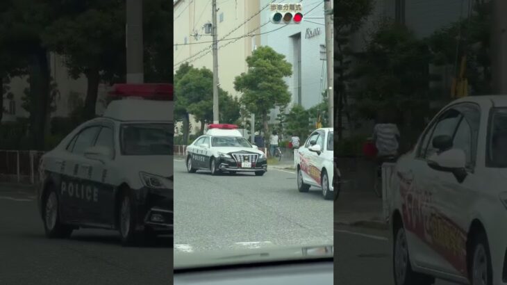 🚨パトカー🚨兵庫県警🚨パトロール🚨クラウンパトカー🚨 #パトカー #兵庫県警 #走行動画 #shorts #shortvideo #short #shortsfeed