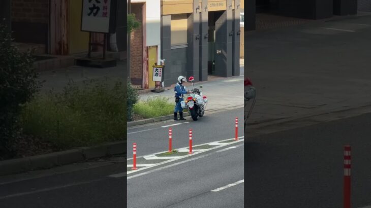 😳😳白バイ隊員を発見😳😳 #白バイ #白バイ隊員 #兵庫県警 #shorts #shortvideo #short #shortsfeed