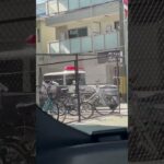 🚨パトカー🚨兵庫県警🚨パトロールカー🚨ミニパト🚨 #パトカー #兵庫県警 #shorts #shortvideo #short #shortsfeed