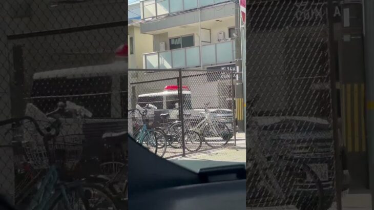 🚨パトカー🚨兵庫県警🚨パトロールカー🚨ミニパト🚨 #パトカー #兵庫県警 #shorts #shortvideo #short #shortsfeed