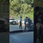 🚨バイクを捕まえたパトカー🚨 #パトカー #兵庫県警 #警察官 #警察 #shorts #shortvideo #short #shortsfeed