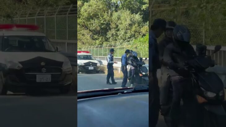 🚨バイクを捕まえたパトカー🚨 #パトカー #兵庫県警 #警察官 #警察 #shorts #shortvideo #short #shortsfeed