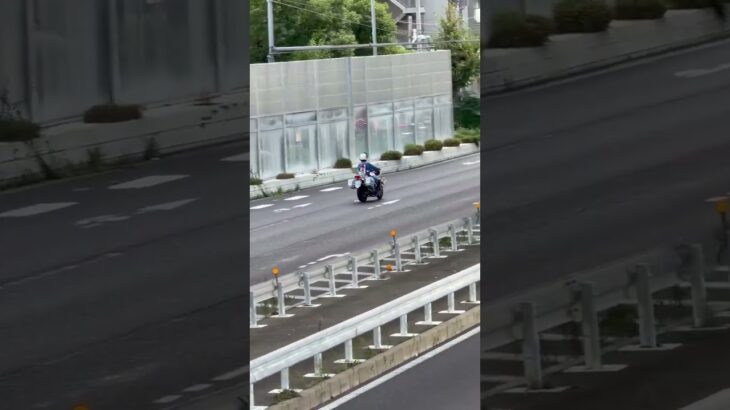 🩷合流する白バイが格好いい🩷 #白バイ #白バイ隊員 #兵庫県警 #警察 #走行動画 #shorts #shortvideo #short #shortsfeed