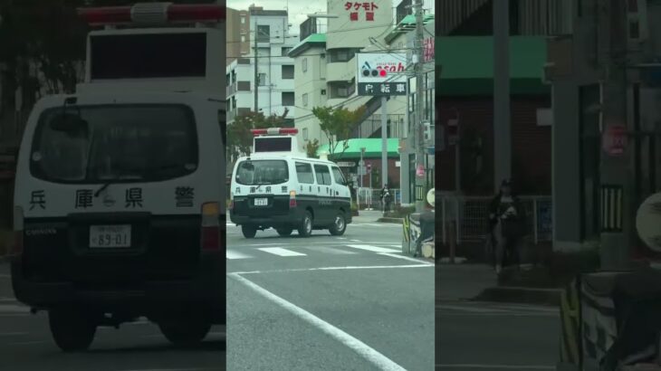 🚨警察車両🚨赤色灯🚨兵庫県警🚨走行動画🚨 #パトカー #警察車両 #兵庫県警 #shorts #shortvideo #short #shortsfeed
