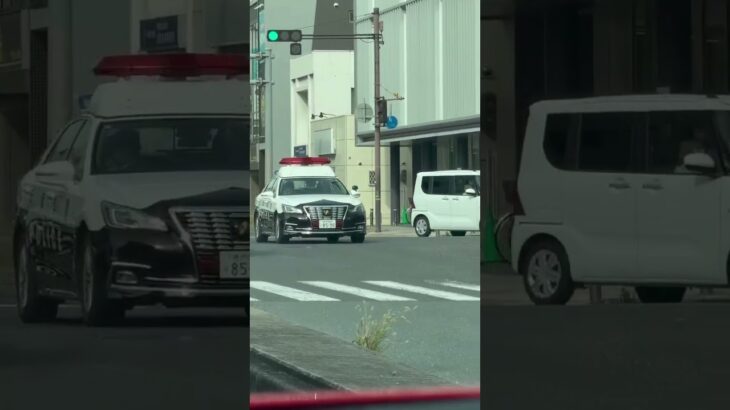 🚨パトカー🚨兵庫県警🚨クラウンパトカー🚨 #パトカー #兵庫県警 #shorts #shortvideo #short #shortsfeed