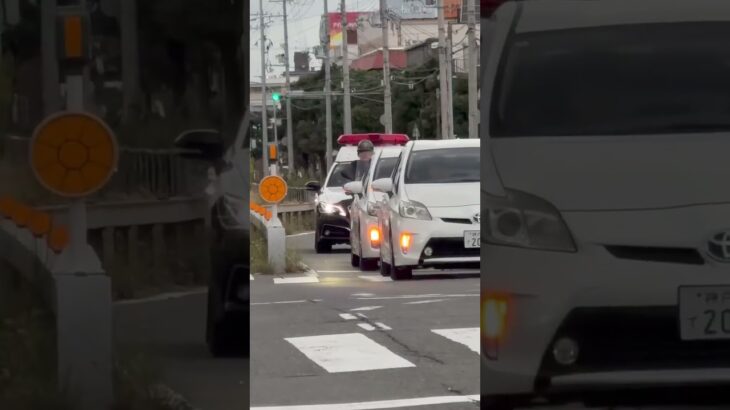 🚨パトカー兵庫県警🚨パトロール🚨クラウンパトカー🚨 #パトカー #兵庫県警 #shorts #shortvideo #short #shortsfeed