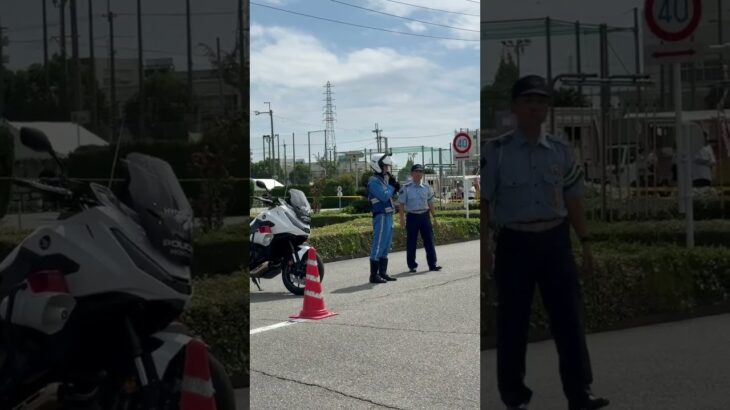 🫡白バイ隊員🫡兵庫県警🫡 #白バイ #白バイ隊員 #兵庫県警 #shorts #shortvideo #short #shortsfeed