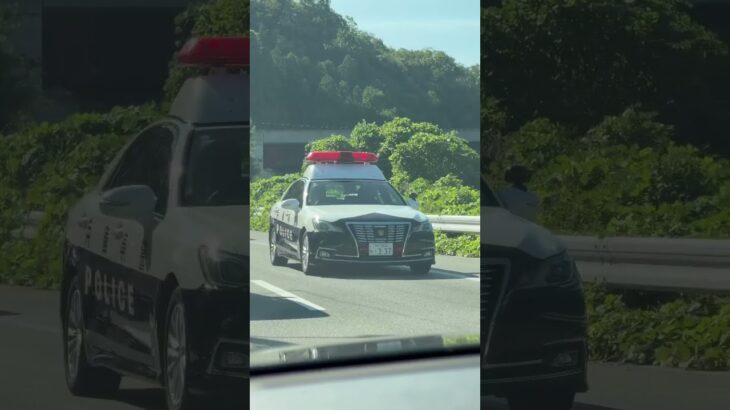 🚨パトカー🚨兵庫県警🚨クラウンパトカー🚨パトロール🚨 #パトカー #兵庫県警 #走行動画 #shorts #shortvideo #short #shortsfeed