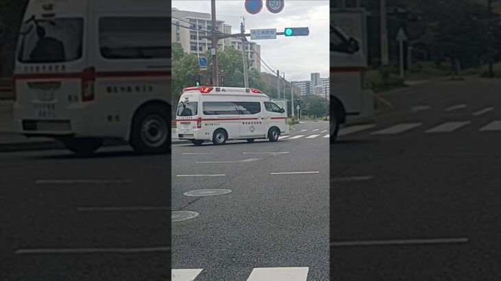 【緊急走行】リモートサイレン吹鳴!市立病院へ救急搬送!鹿児島市消防局郡元救急隊