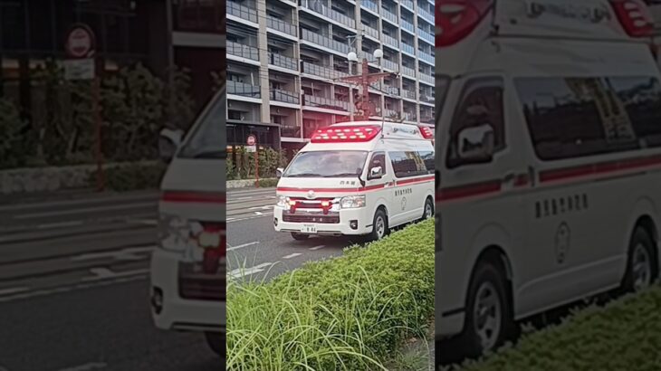 【緊急走行】市立病院へ救急搬送!鹿児島市消防局西本署救急隊