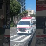【緊急走行】米盛病院へ救急搬送!鹿児島市消防局伊敷救急隊