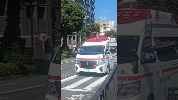 【緊急走行】米盛病院へ救急搬送!鹿児島市消防局伊敷救急隊
