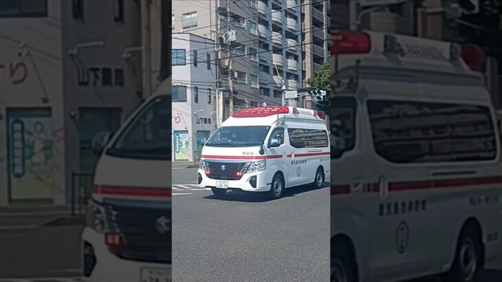 【緊急走行】交差点通過!鹿児島市消防局谷山北救急隊