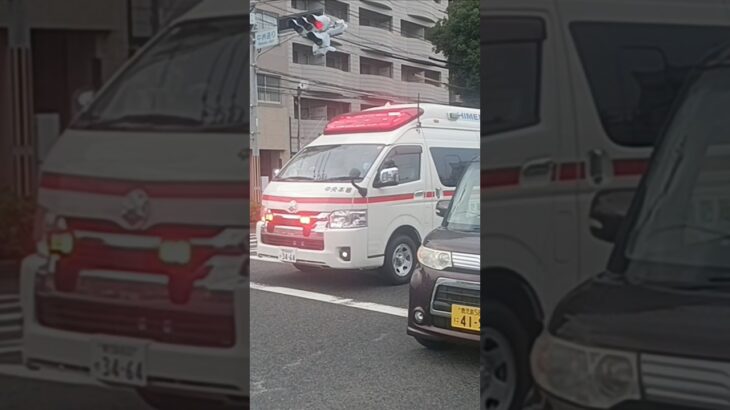 【緊急走行】救急車交差点進入!鹿児島市消防局中央本署救急隊