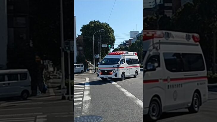 【緊急走行】交差点内で救急車同士の鉢合わせ!鹿児島市消防局郡元救急隊　伊敷救急隊
