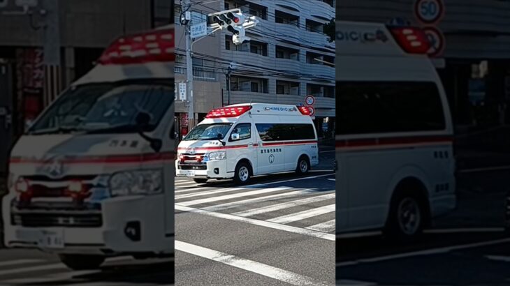 【緊急走行】モーターサイレン吹鳴!鹿児島市消防局西本署救急隊