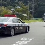 🚨兵庫県警と大阪府警のパトカー🚨 #パトカー #兵庫県警 #大阪府警 #赤色灯