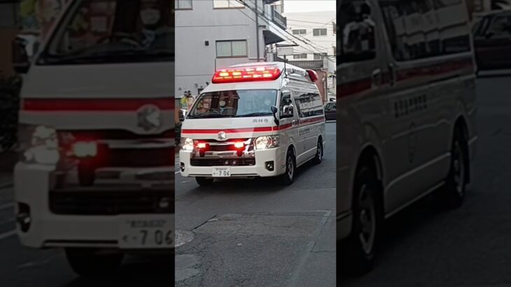 【緊急走行】交差点進入!鹿児島市消防局吉野非常用救急(南林寺救急代車運用中)