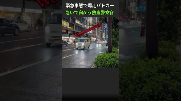 雨の夜を切り裂くサイレン！緊急走行で爆走するパトカーが速すぎる