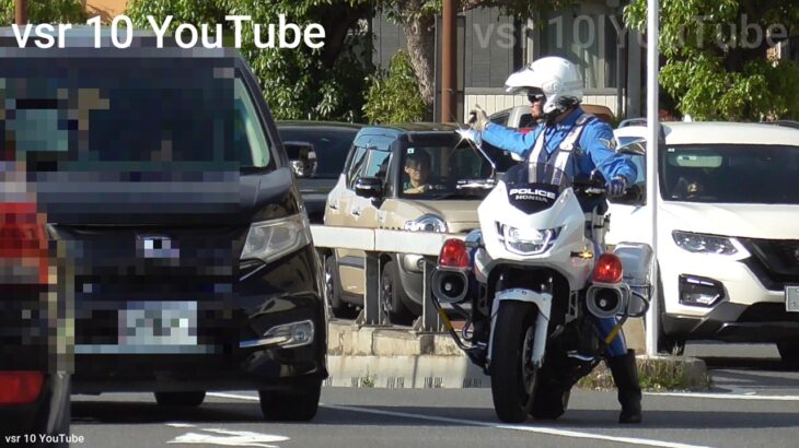 拡声器で説教気味に注意されてしまう子連れ女性ドライバー！！白バイ信号無視取り締まり！！通学路の一時停止をノンストップで通過する軽！！あわよくば警察から逃走しようとする車両！！一時停止取り締まり！等