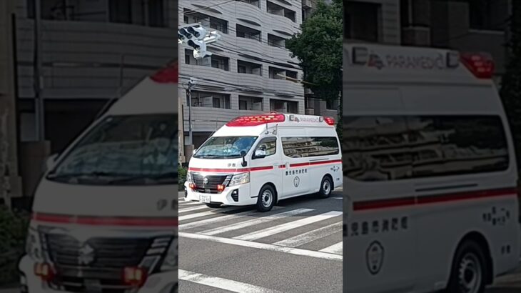 【緊急走行】交差点進入!鹿児島市消防局伊敷救急隊