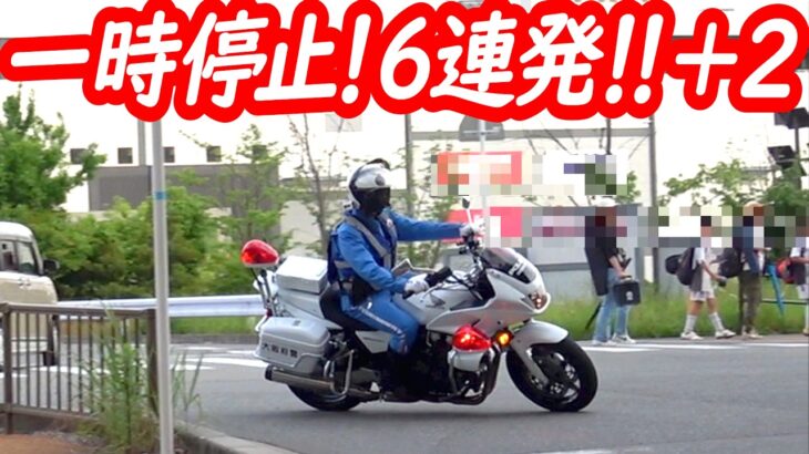 呑気なぶっちぎりで高い買い物に!白バイによる一時停止取り締まり6連発!+おまけ付き【サイレンとエンジン音が最高!】