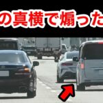 覆面パトカーの真横で煽った車の末路‼️　[取り締まり 煽り運転]